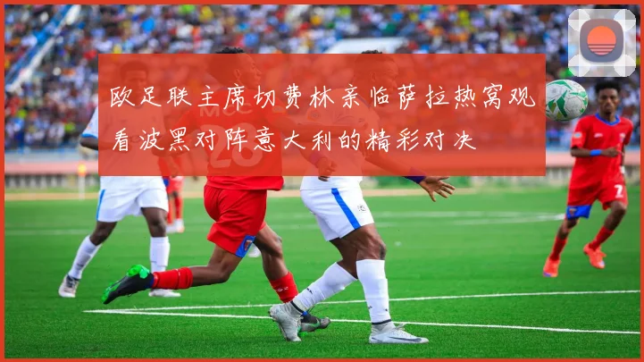 欧足联主席切费林亲临萨拉热窝观看波黑对阵意大利的精彩对决