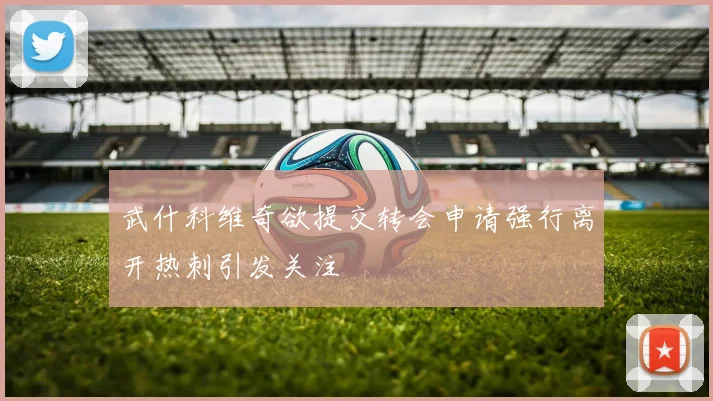 武什科维奇欲提交转会申请强行离开热刺引发关注